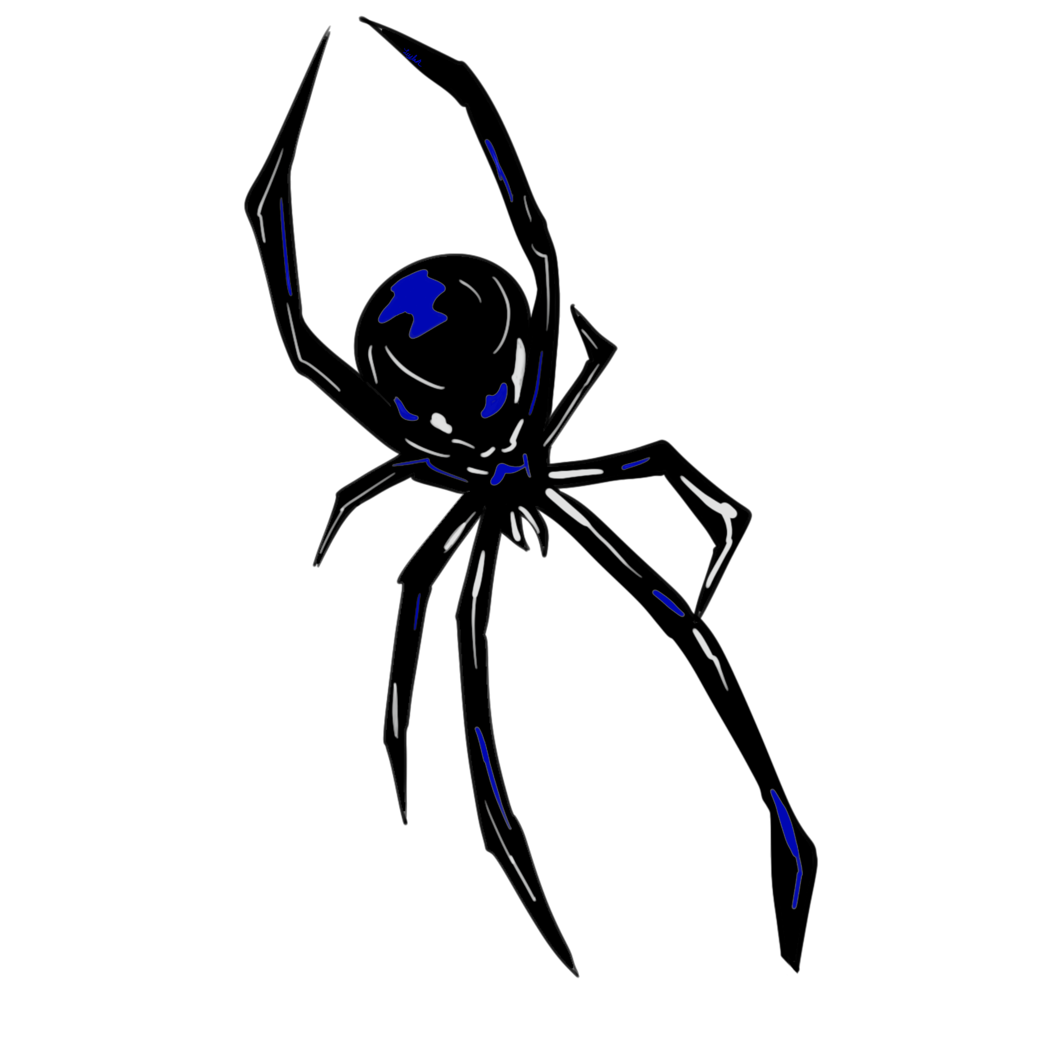 spider