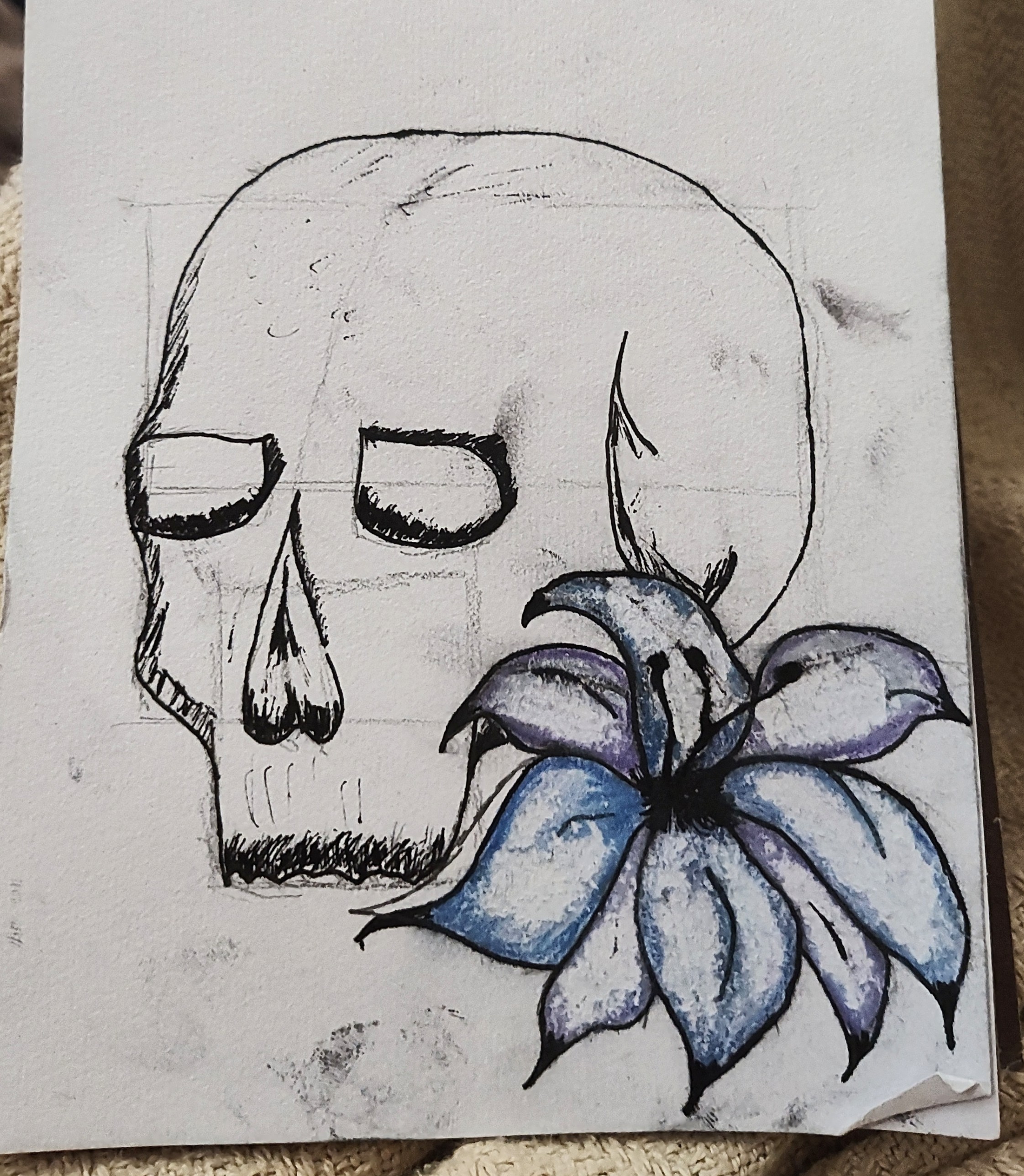 skull